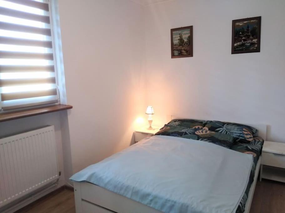 Center Sziget Apartman Odorheiu Secuiesc Exterior photo
