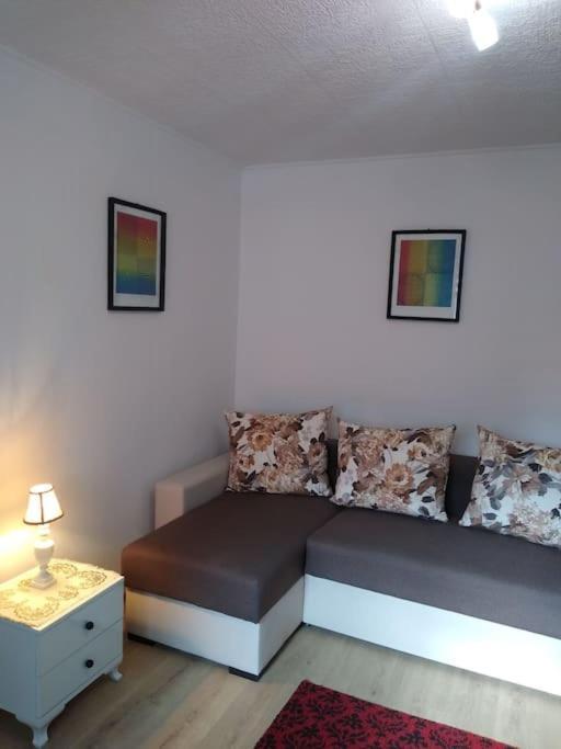 Center Sziget Apartman Odorheiu Secuiesc Exterior photo